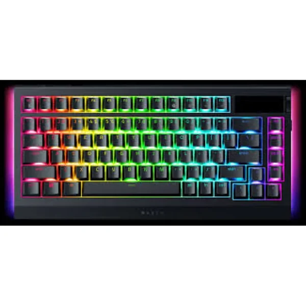 RAZER BlackWidow V4 電競遊戲鍵盤 (綠軸/黃軸) - 綠軸